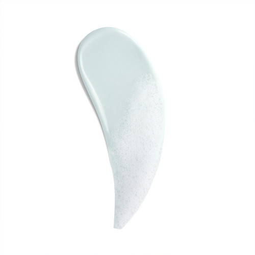Biosource Purifying Foaming Cleanser