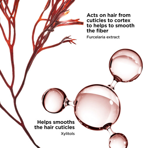 Flash Conditioner