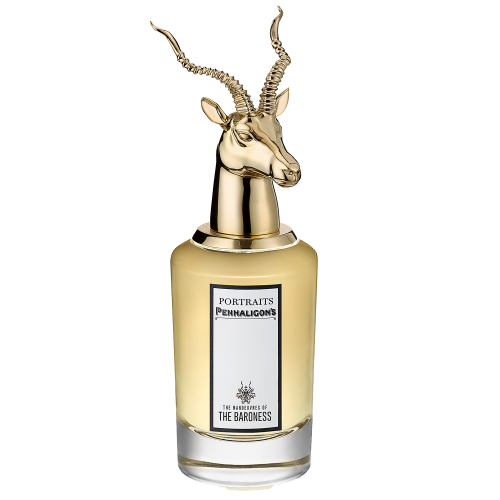 THE MANOEUVRES OF THE BARONESS